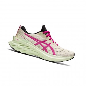 Birch / Pink Rave Women's Asics NOVABLAST 2 Running Shoes | 316-IZJQMW