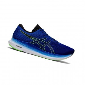 Blue Men's Asics EVORIDE 2 Running Shoes | 204-WITLXS