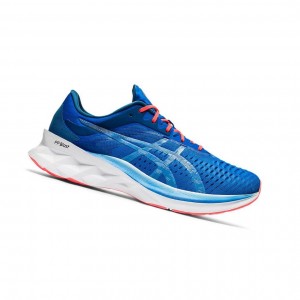 Blue Men's Asics NOVABLAST Running Shoes | 853-DVLHFI
