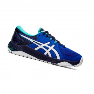 Blue / White Men's Asics GEL-COURSE GLIDE Golf Shoes | 021-TCNIVB