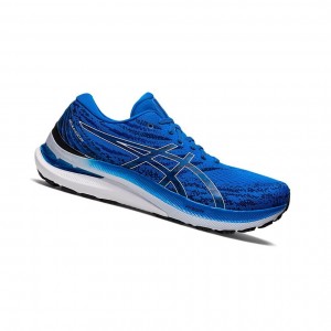 Blue / White Men's Asics GEL-KAYANO 29 Running Shoes | 863-QPRYKG