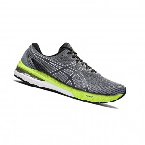 Carrier Grey / White Men's Asics GT-2000 10 Running Shoes | 937-QDSHCK