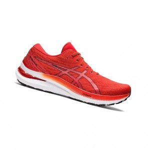 Cherry Tomato / Black Men's Asics GEL-KAYANO 29 Running Shoes | 106-QUHNOR