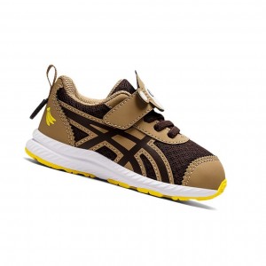 Coffee / Coffee Kids' Asics CONTEND 7 TODDLER Running Shoes | 318-BOARPI