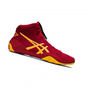 Cranberry / Saffron Men's Asics DAN GABLE EVO 2 Wrestling Shoes | 876-PYOFVH