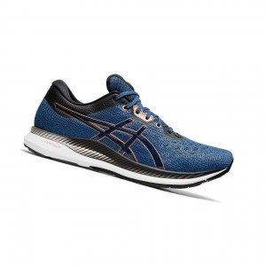 Dark Blue Men's Asics EVORIDE Running Shoes | 097-SXNDFZ