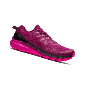Dried Berry / Fuchsia Red Women's Asics GEL-Trabuco 10 Trail Running Shoes | 928-FMPRZI