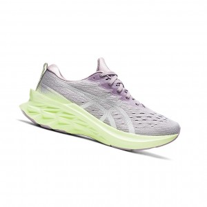 Dusk Violet / Pure Silver Women's Asics NOVABLAST 2 Running Shoes | 379-GVEZYT