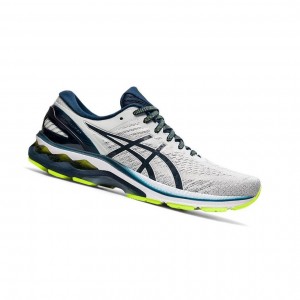 Grey Men's Asics GEL-KAYANO 27 Running Shoes | 015-IEMVYF