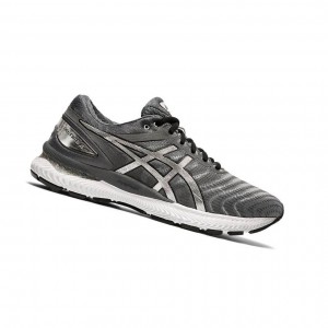 Grey Men's Asics GEL-NIMBUS 22 Platinum Running Shoes | 216-ZRLVMK