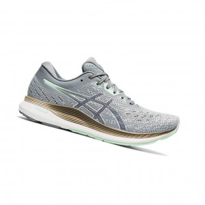 Grey Women's Asics EVORIDE Running Shoes | 235-MPCHDY