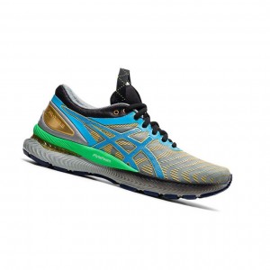 Grey Women's Asics GEL-NIMBUS 22 Running Shoes | 301-QZGIRX