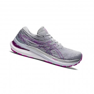 Grey / Orchid Women's Asics GEL-KAYANO 29 (D) Running Shoes | 184-JYDIEP