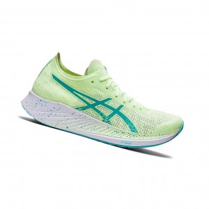 Illuminate Yellow / Sea Glass Women's Asics MAGIC SPEED Running Shoes | 429-LMGKFQ