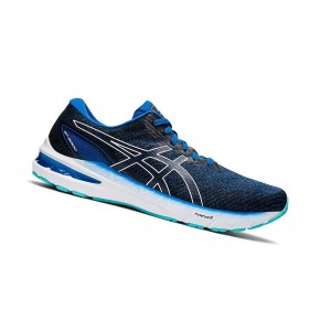 Lake Drive / White Men's Asics GT-2000 10 (2E) Running Shoes | 068-HRSCFA