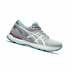 Light Grey Women's Asics GEL-NIMBUS 22 Running Shoes | 293-UILCMR