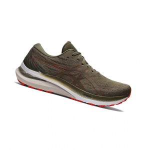 Mantle Green / Cherry Tomato Men's Asics GEL-KAYANO 29 Running Shoes | 062-NUGDJM