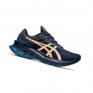 Navy Women's Asics NOVABLAST Running Shoes | 950-QGPWZN