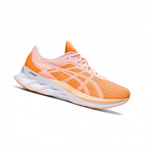 Orange Men's Asics NOVABLAST Modern Tokyo Running Shoes | 139-ODCPKT