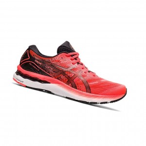 Red Men's Asics GEL-NIMBUS 23 TOKYO Running Shoes | 569-RVEDIZ