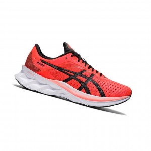Red Men's Asics NOVABLAST TOKYO Running Shoes | 451-BMPYZO