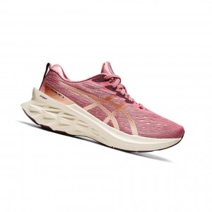 Rose Women's Asics NOVABLAST 2 Running Shoes | 830-CVNQSX