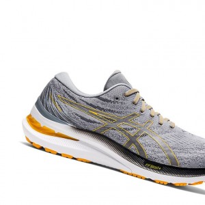 Sheet Rock / Amber Men's Asics GEL-KAYANO 29 Running Shoes | 846-TSPCFU