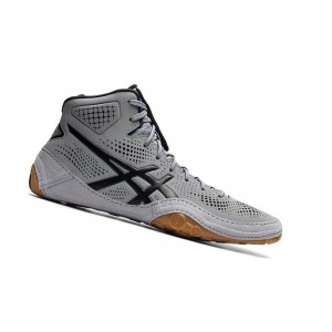 Sheet Rock / Black Men's Asics DAN GABLE EVO 2 Wrestling Shoes | 735-NBDGCU
