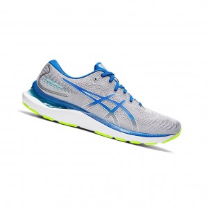Sheet Rock / Lake Drive Men's Asics GEL-CUMULUS 24 Running Shoes | 394-XGYWZI