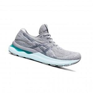 Sheet Rock / Piedmont Grey Women's Asics GEL-NIMBUS 24 MK Running Shoes | 289-BNEYRD