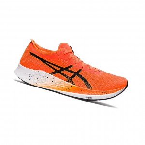 Shocking Orange / Black Men's Asics MAGIC SPEED Running Shoes | 618-NTSQPU