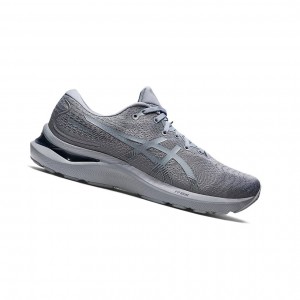Silver Grey Men's Asics GEL-CUMULUS 24 Running Shoes | 831-RPCHXF