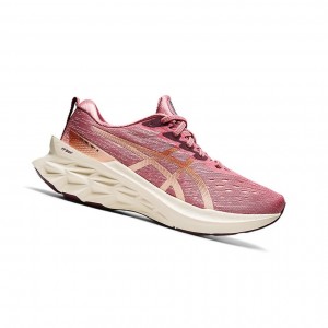 Smokey Rose / Pure Bronze Women's Asics NOVABLAST 2 Running Shoes | 587-YWTQMP