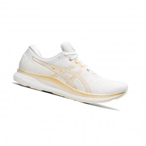 White Women's Asics EVORIDE Running Shoes | 341-CMWPND