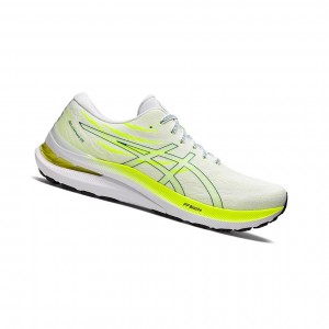 White / Velvet Pine Men's Asics GEL-KAYANO 29 Running Shoes | 974-KSINWB