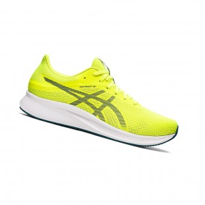 Yellow / Velvet Pine Men's Asics PATRIOT 13 Running Shoes | 187-EZFUTB